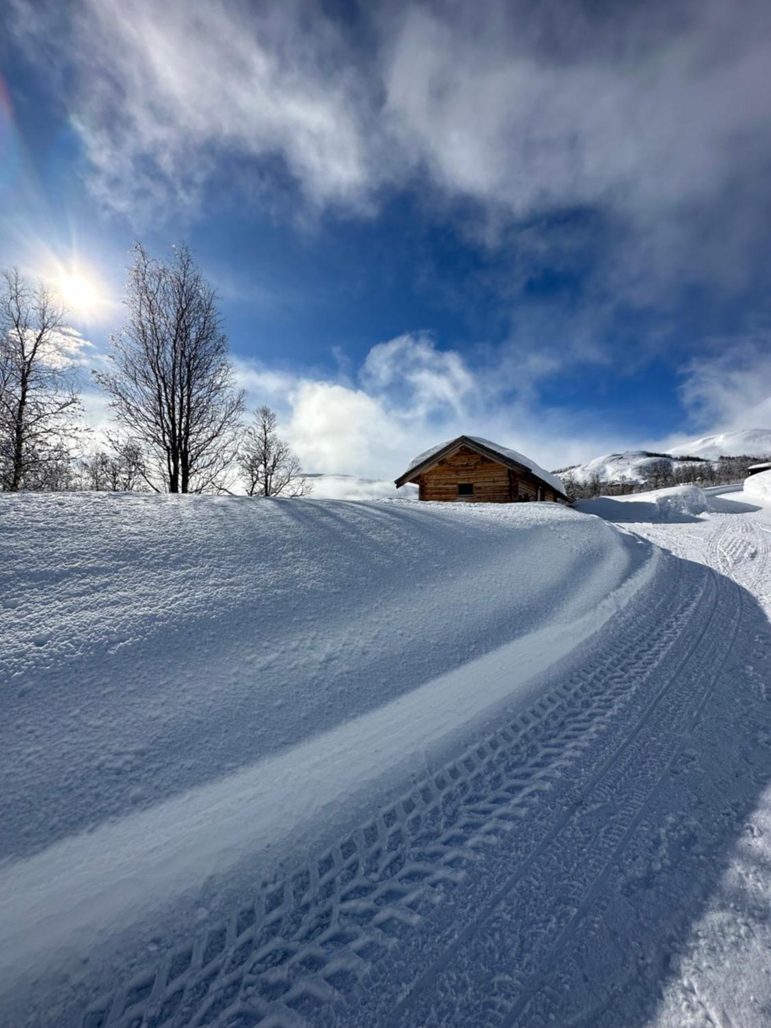 Tyinkrysset Panoramaヴィラ エクステリア 写真